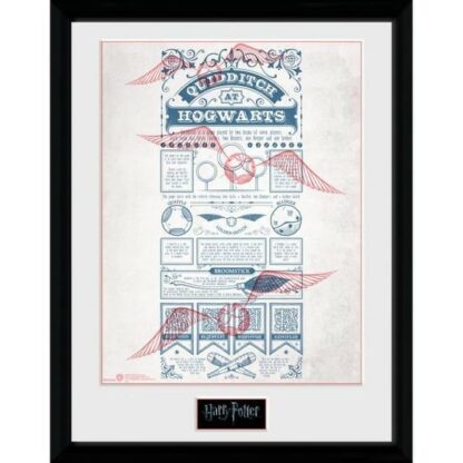 Poster Collector Print Gbeye Harry Potter : Le Quidditch à Poudlard [30x40cm]